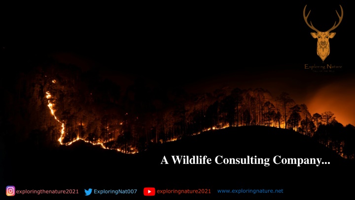 nature nature new presentation template