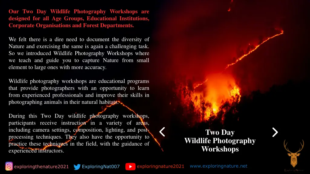 our two day wildlife photography workshops