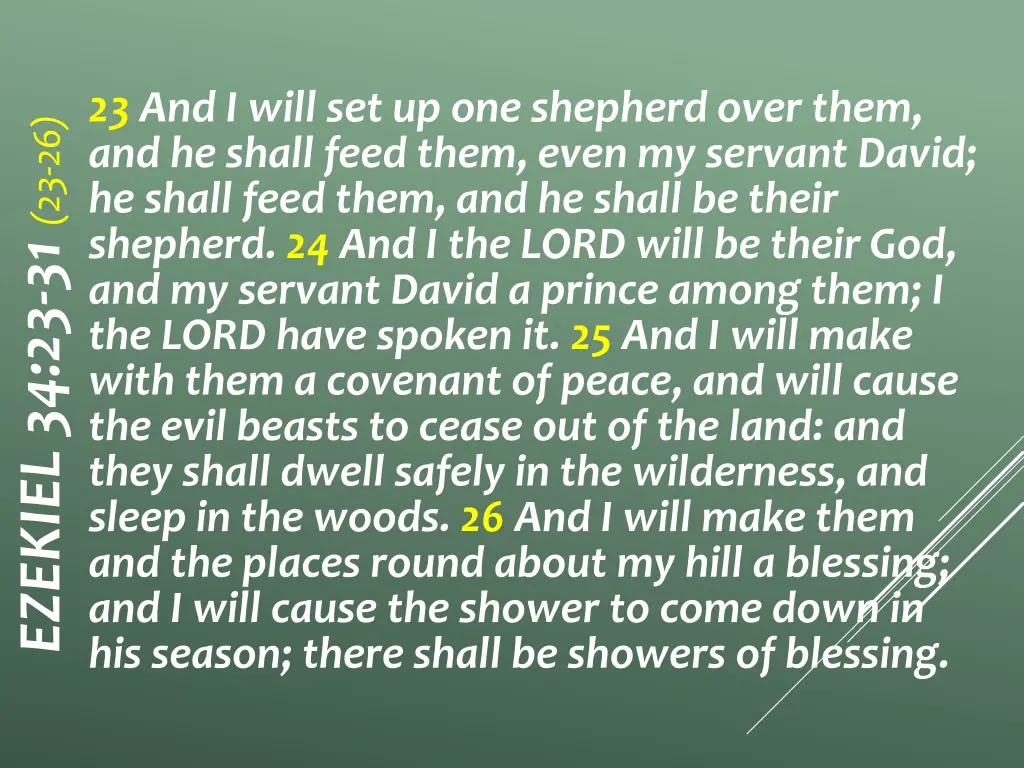 ezekiel 34 23 31 23 26 23 and i will