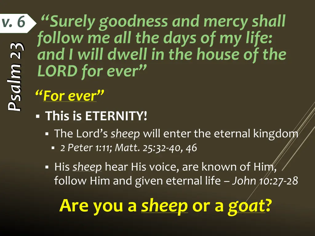 surely goodness and mercy shall follow 2