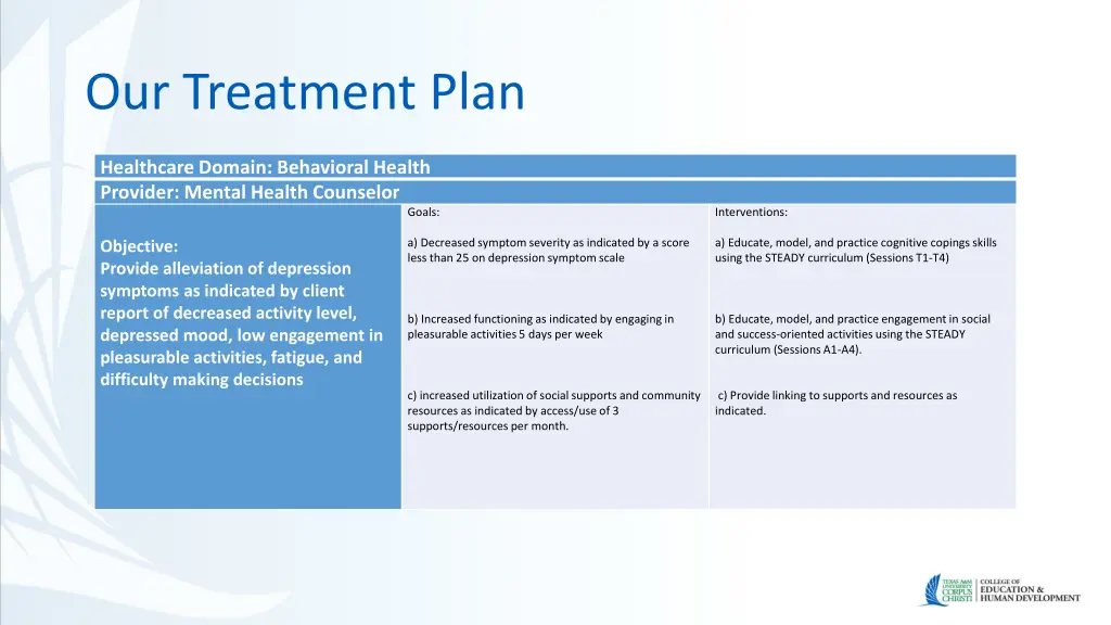 our treatment plan