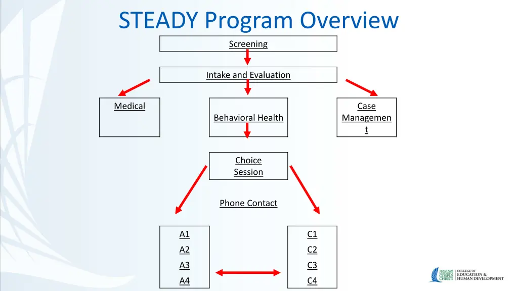 steady program overview