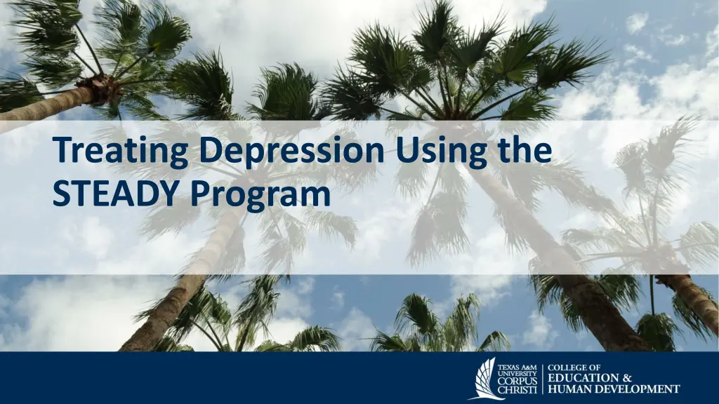 treating depression using the steady program