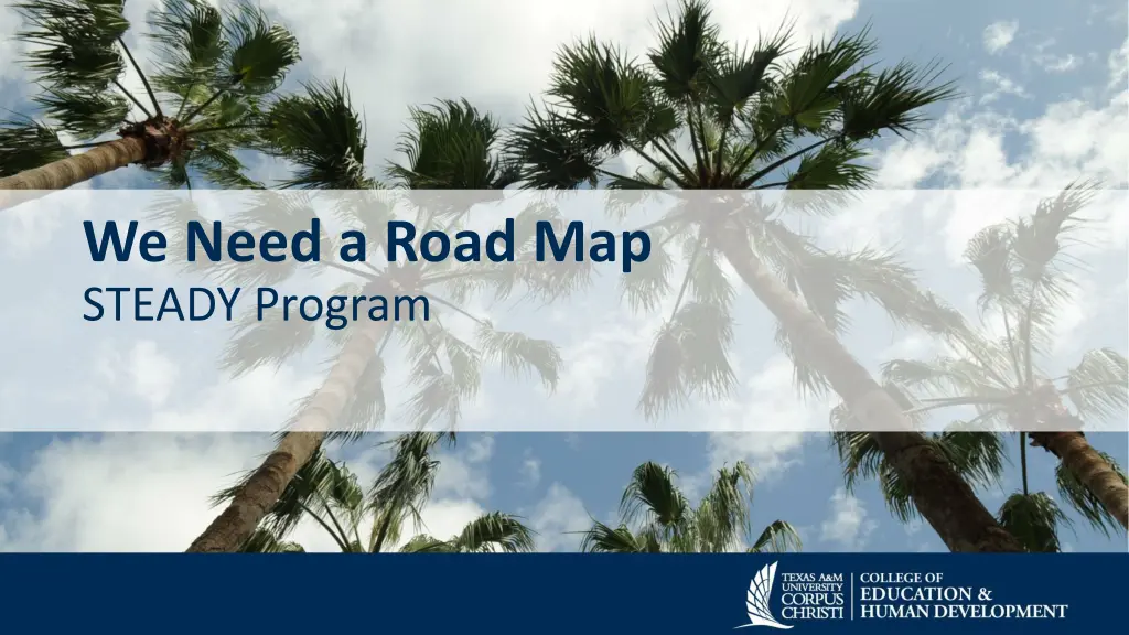 we need a road map steady program