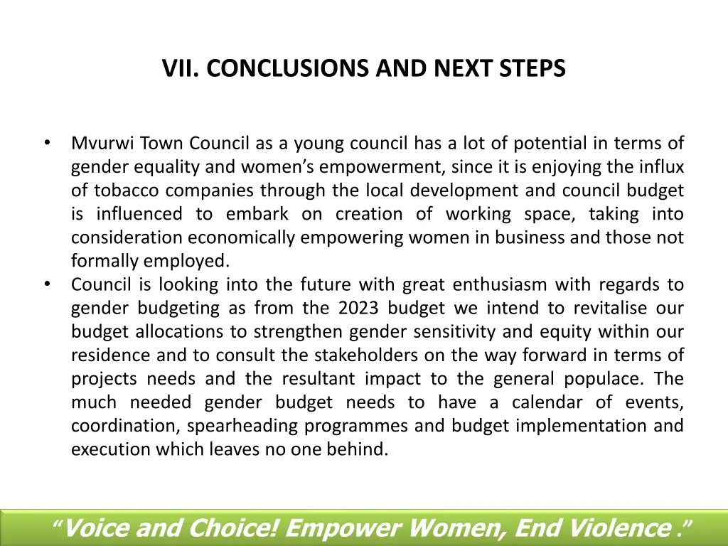 vii conclusions and next steps