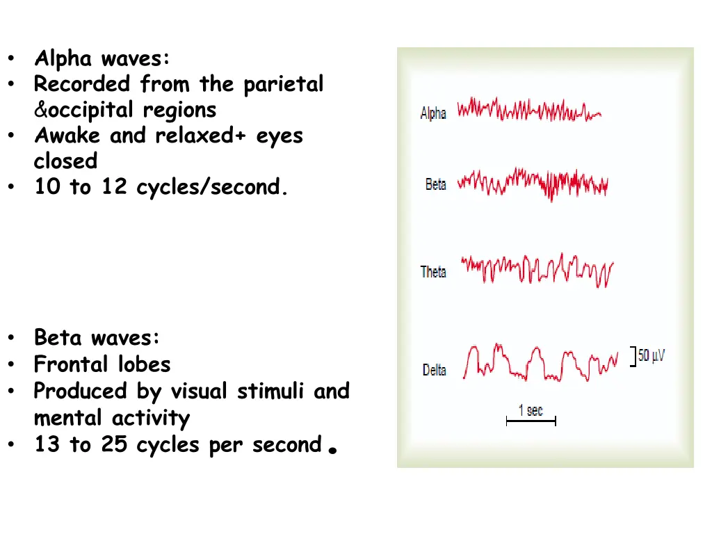 alpha waves recorded from the parietal occipital