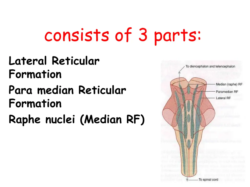 consists of 3 parts