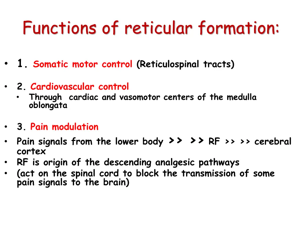 functions of reticular formation