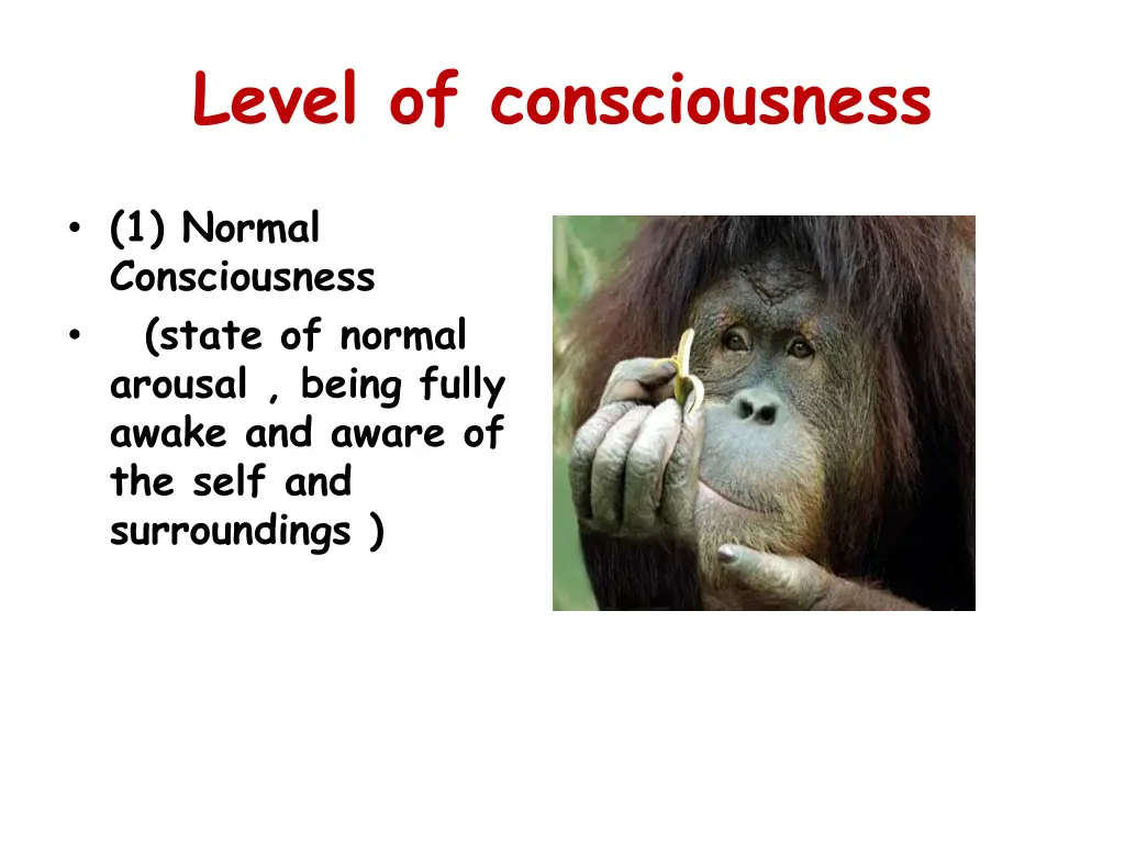 level of consciousness