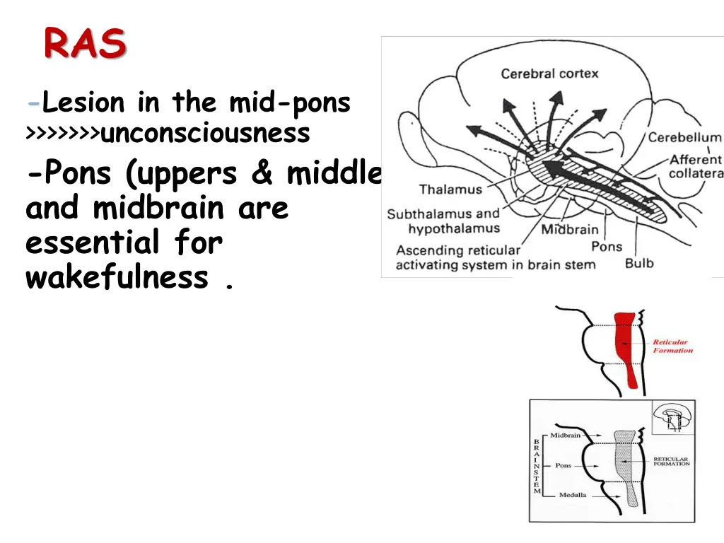ras lesion in the mid pons unconsciousness pons