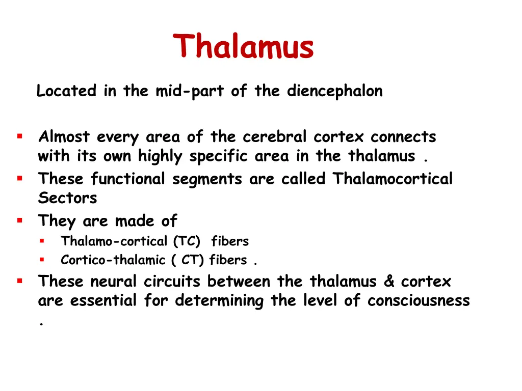 thalamus