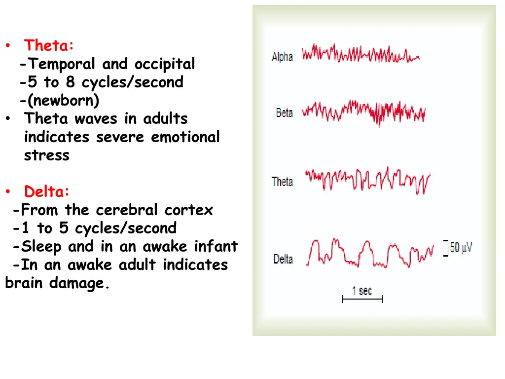 theta temporal and occipital 5 to 8 cycles second