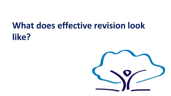 what does effective revision look like