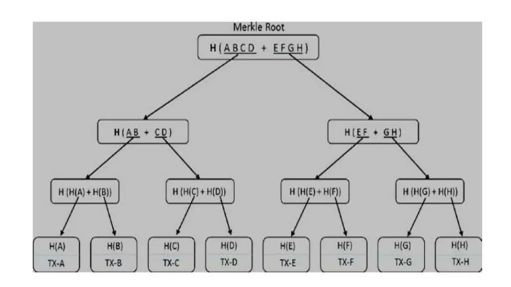 slide2