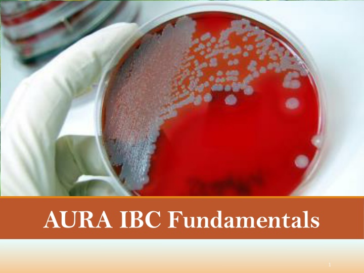 aura ibc fundamentals