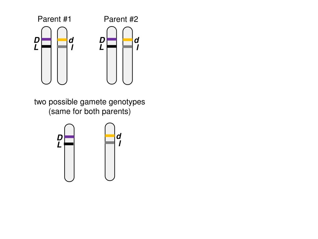 parent 1