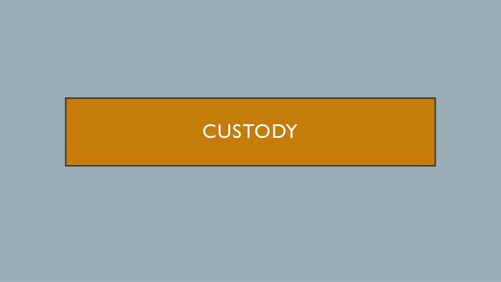 custody