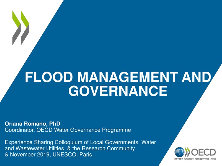 flood management and governance