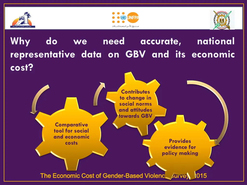 why representative data on gbv and its economic