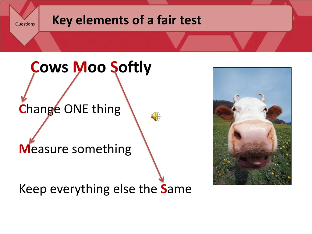 key elements of a fair test