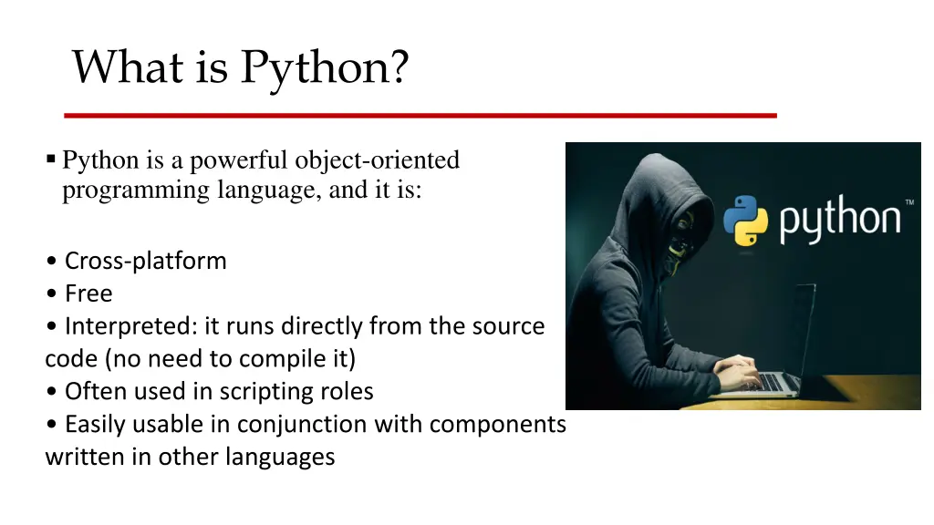 what is python