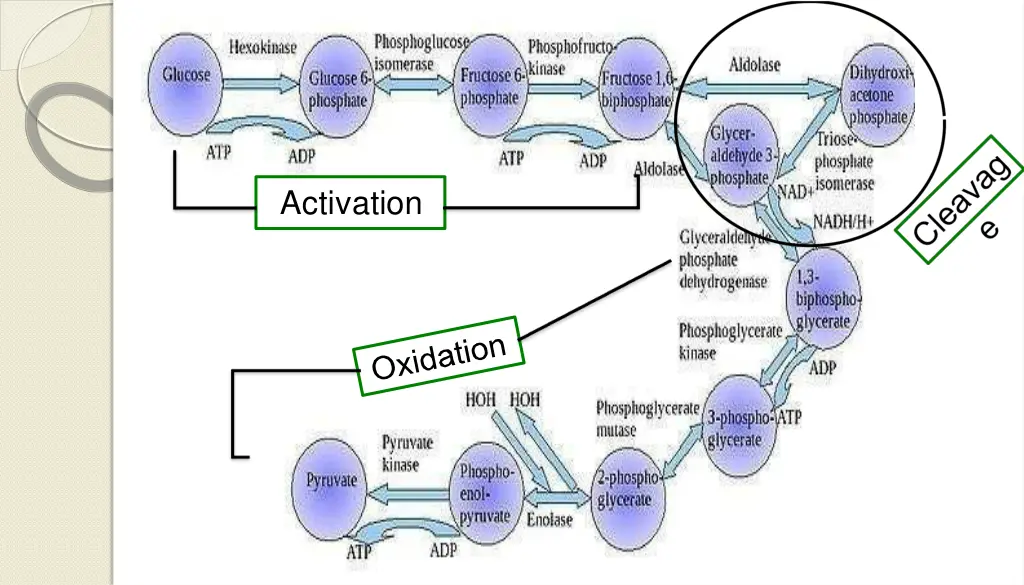 activation