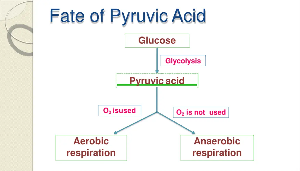fate of pyruvicacid