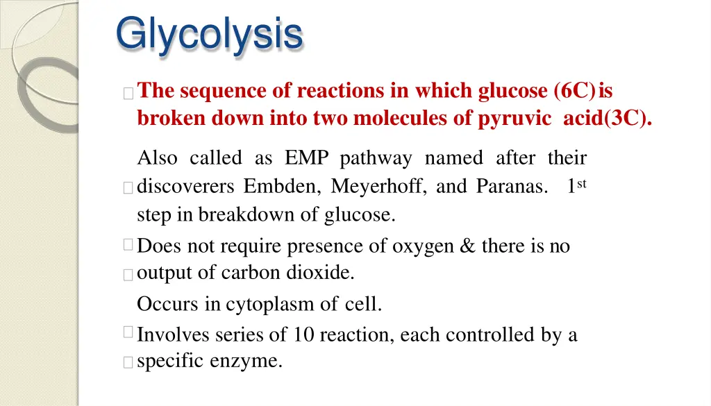glycolysis