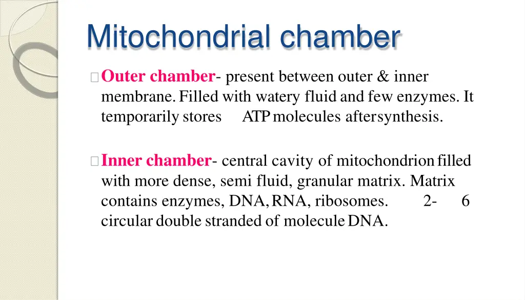 mitochondrial chamber