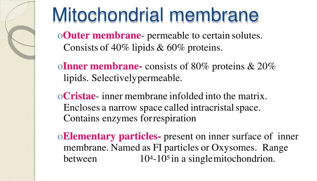 mitochondrial membrane o outer membrane permeable