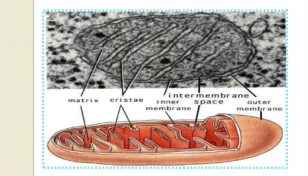 slide18