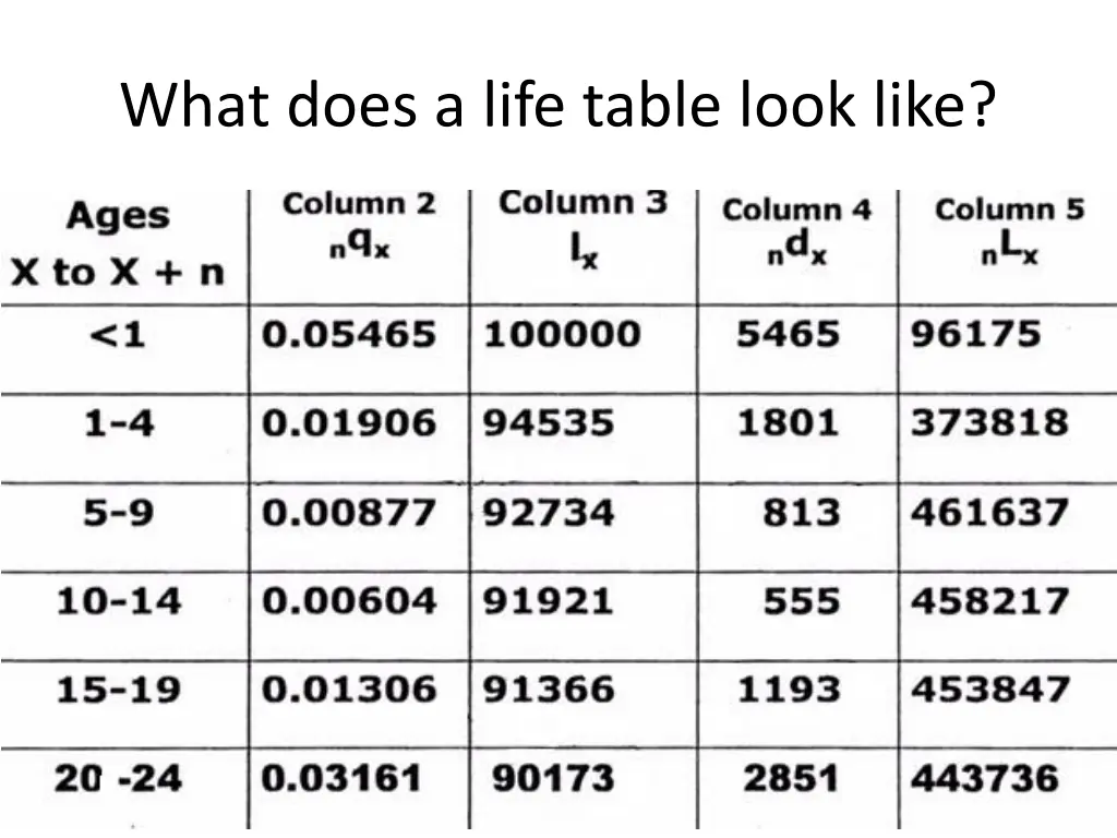 what does a life table look like