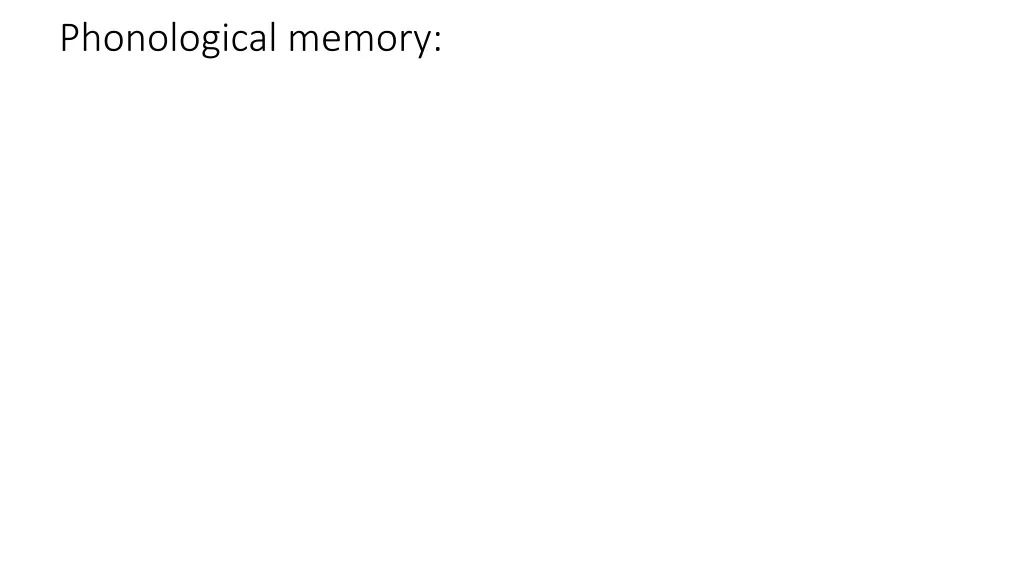 phonological memory