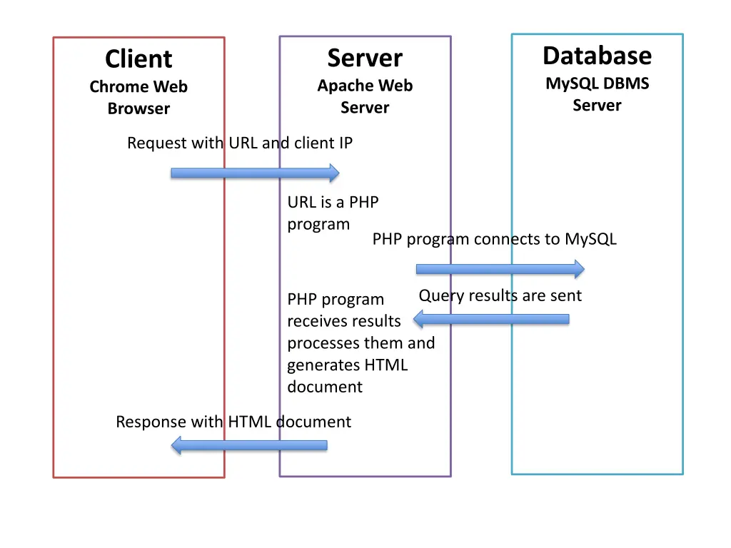 database mysql dbms server