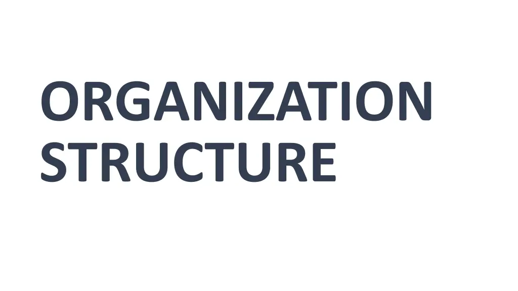 organization structure