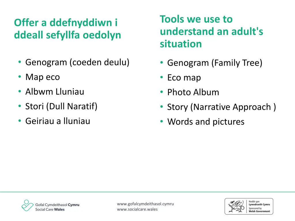 tools we use to understand an adult s situation