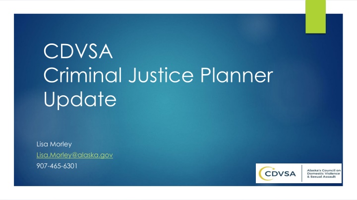 cdvsa criminal justice planner update