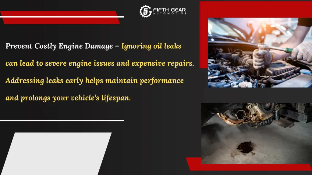 prevent costly engine damage ignoring oil leaks