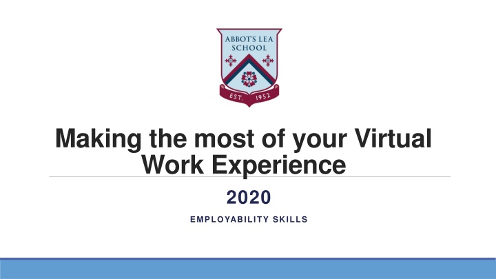 making the most of your virtual work experience