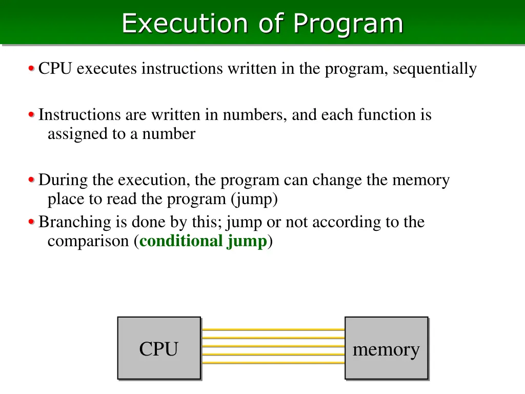 execution of program