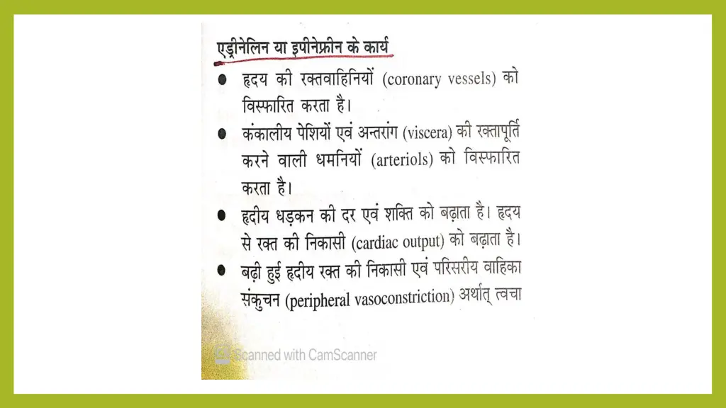 slide10