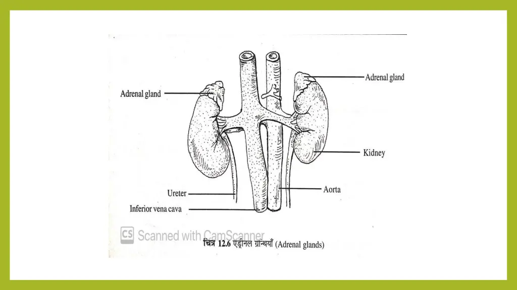 slide3