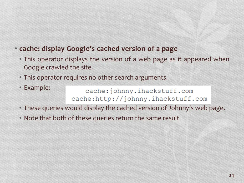 cache display google s cached version of a page