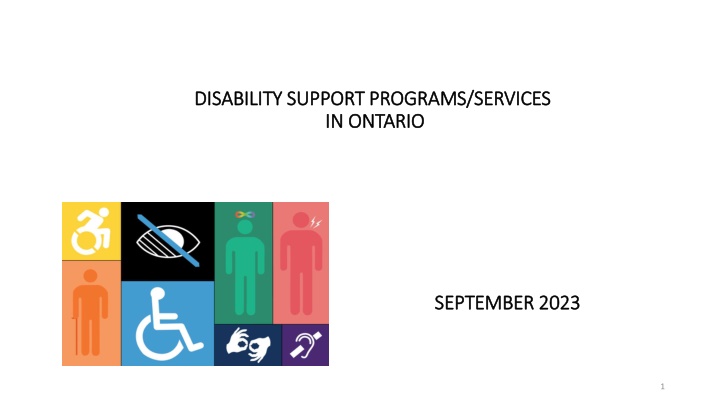 disability support programs services disability