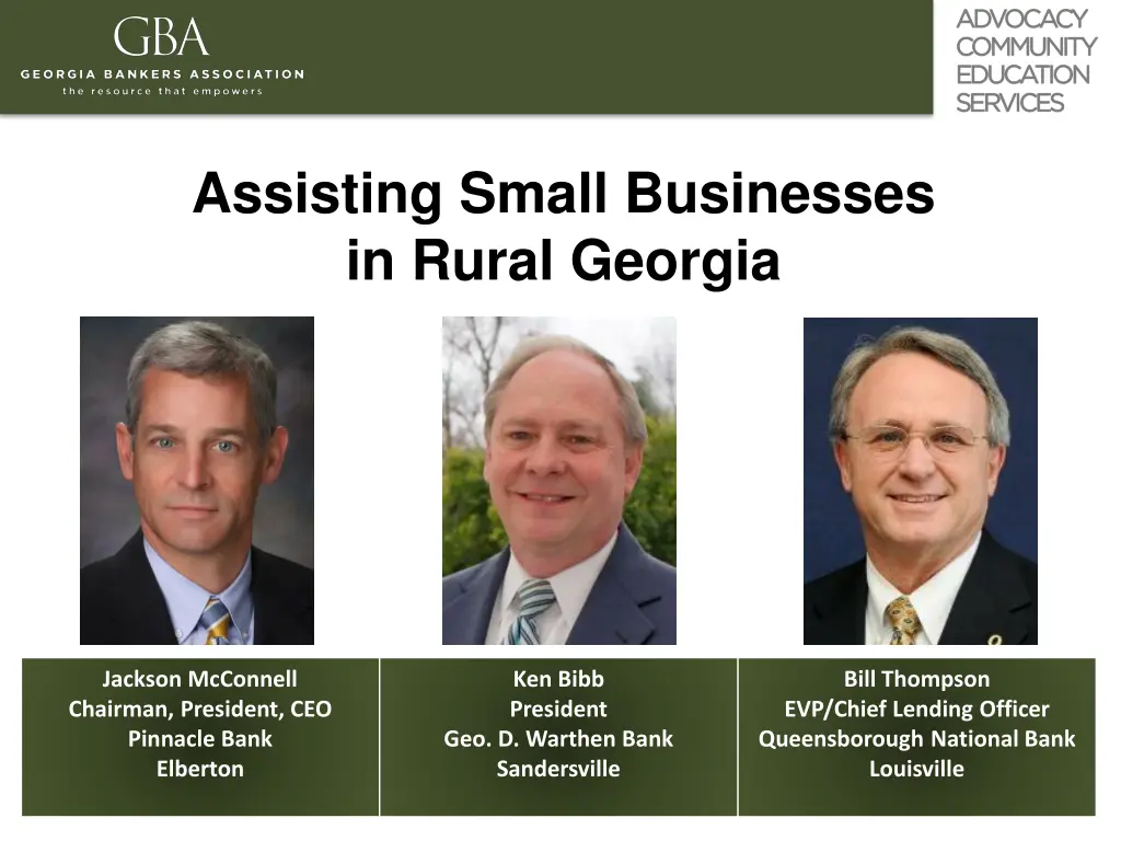 assisting small businesses in rural georgia