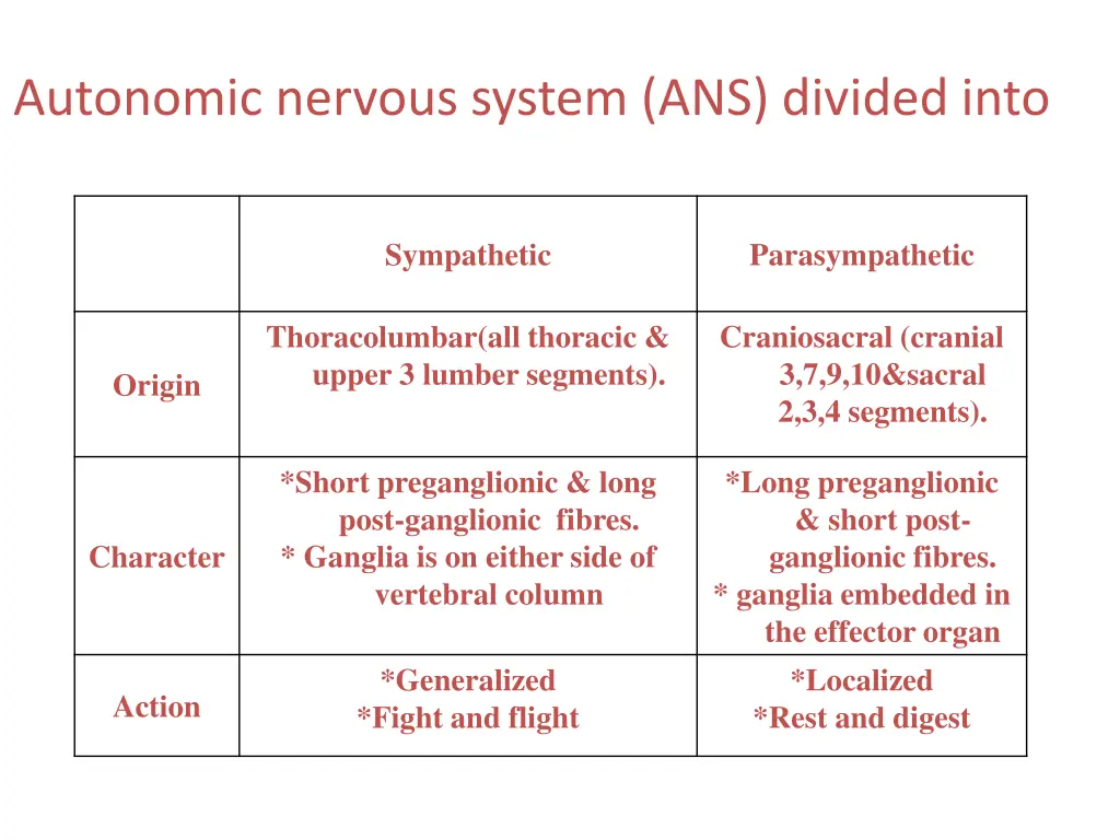 autonomic nervous system ans divided into