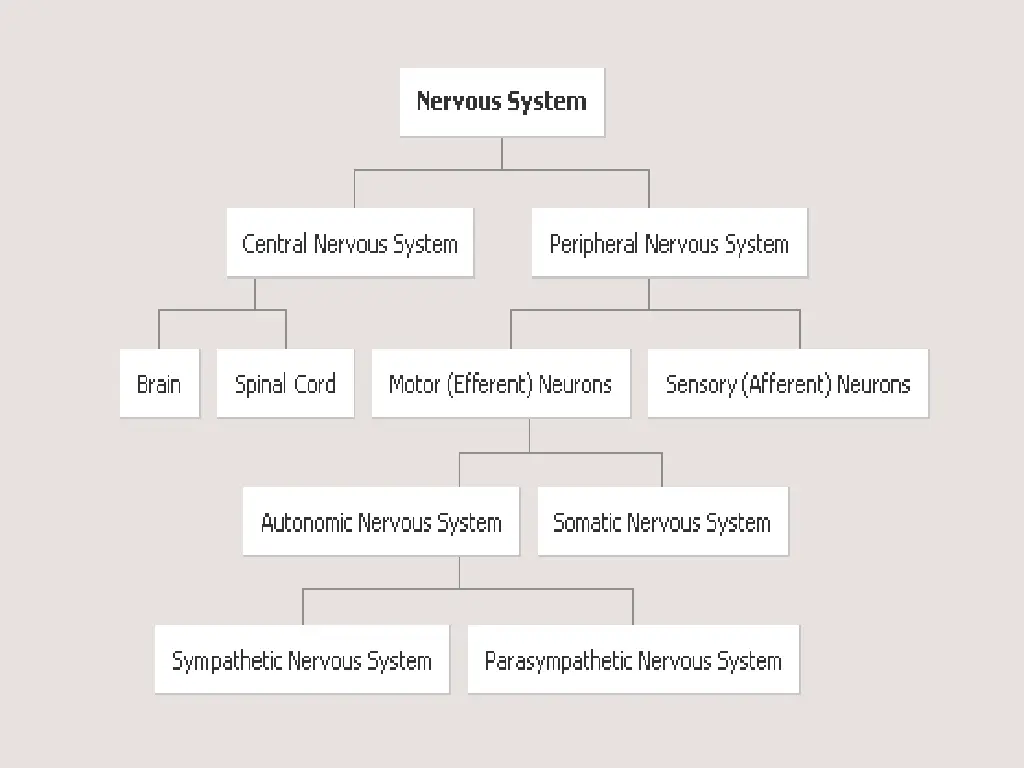 slide15