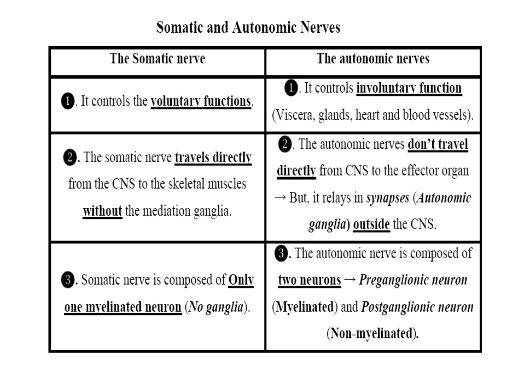 slide16