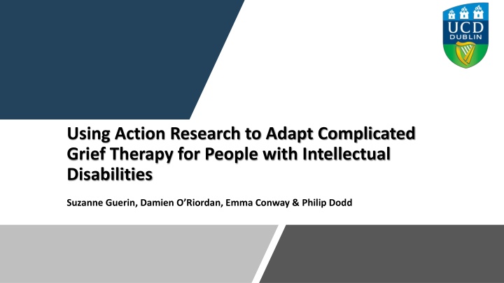 using action research to adapt complicated grief