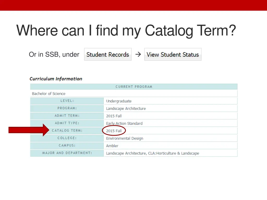where can i find my catalog term 1